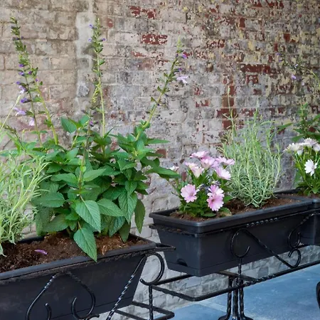 Harmony At The Location