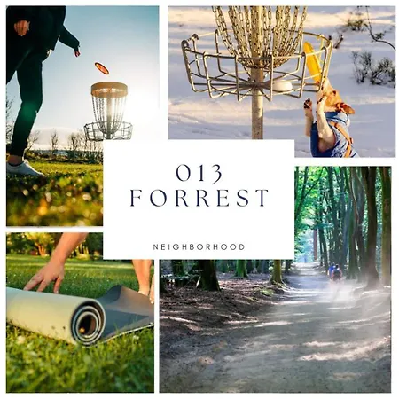 Harmony At The Location Tilburg