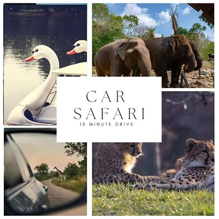 Harmony At The Location