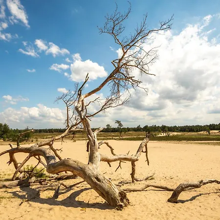 Harmony At The Location Apartment Tilburg