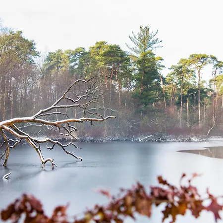 Harmony At The Location