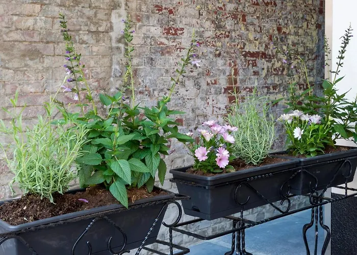 Harmony At The Location