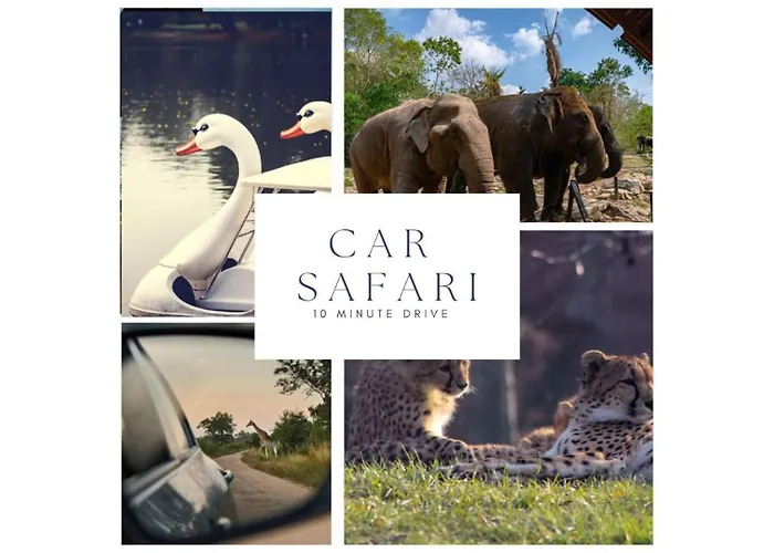 Harmony At The Location