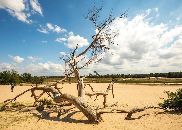 Harmony At The Location 아파트 튈뷔르흐