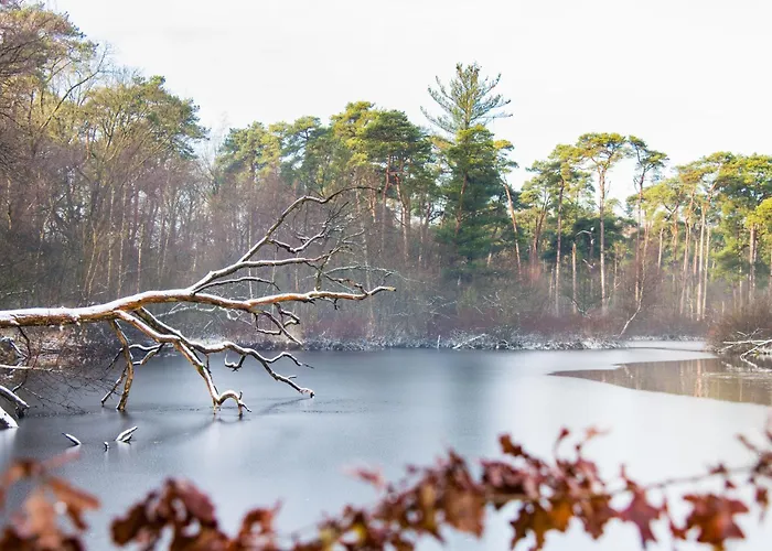 Harmony At The Location